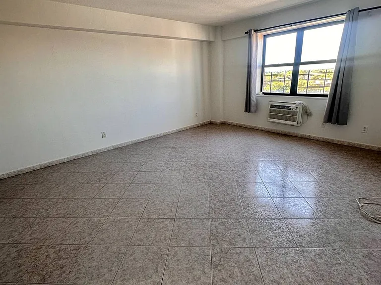 147-20 35th Ave #Penthouse 1E — Photo 5