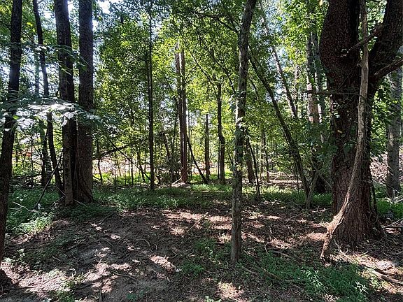 3rd image of 0 Pineview Ct