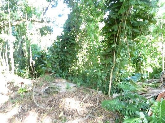5th image of 12-7225 Mauka Nui St Lot 84