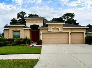 10310 Holland Rd, Riverview, FL 33578