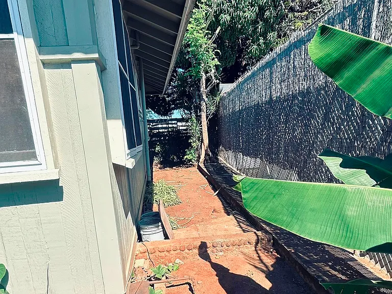 Back house path to rear