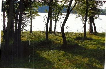 5th image of Lakeshore Dr