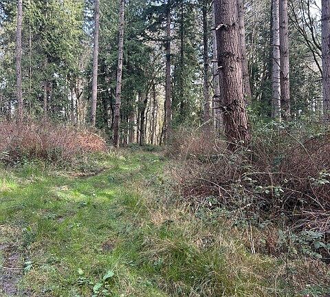 3rd image of 0 XXX Hellman Road