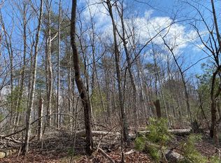 6 Cohutta Overlook Dr #II, Blue Ridge, GA 30513