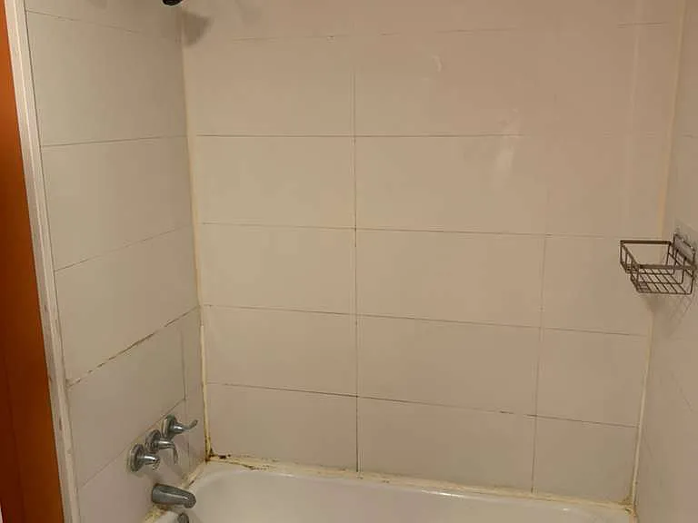 901 Maplehurst Ave — Photo 5