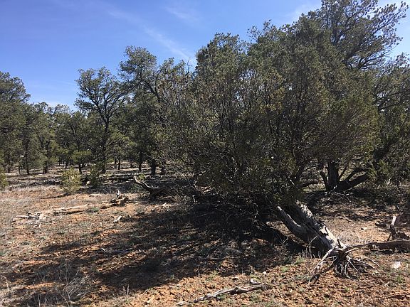 4th image of LOT 299 Edgewood Dr
