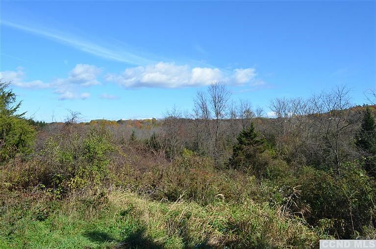 2nd image of 0 Vosburgh Road