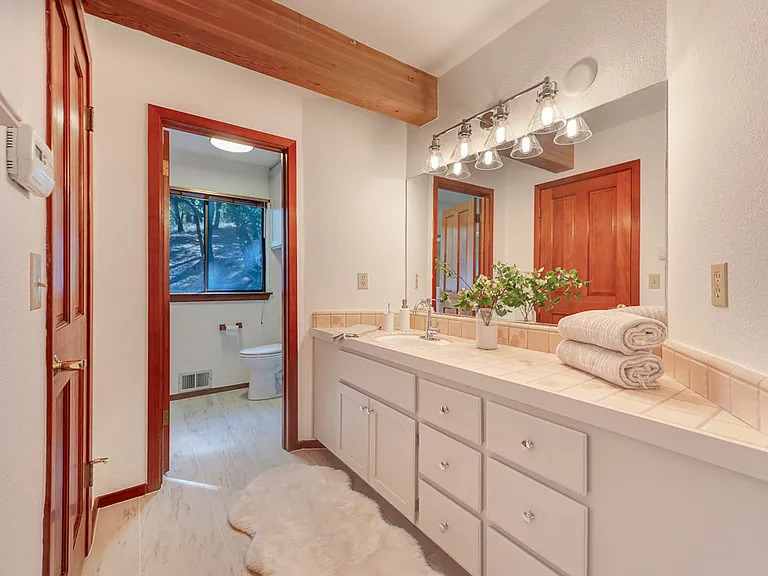 6417 Timber Springs Ct — Photo 19