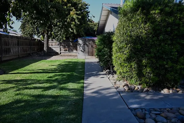 Secure rear garden area