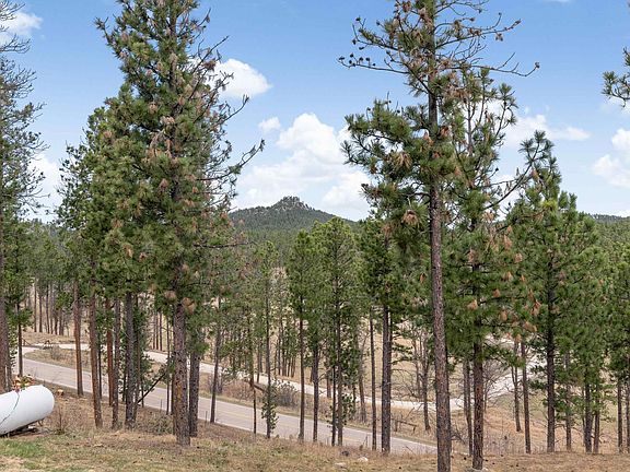 3rd image of 13365 Silver Mountain Rd