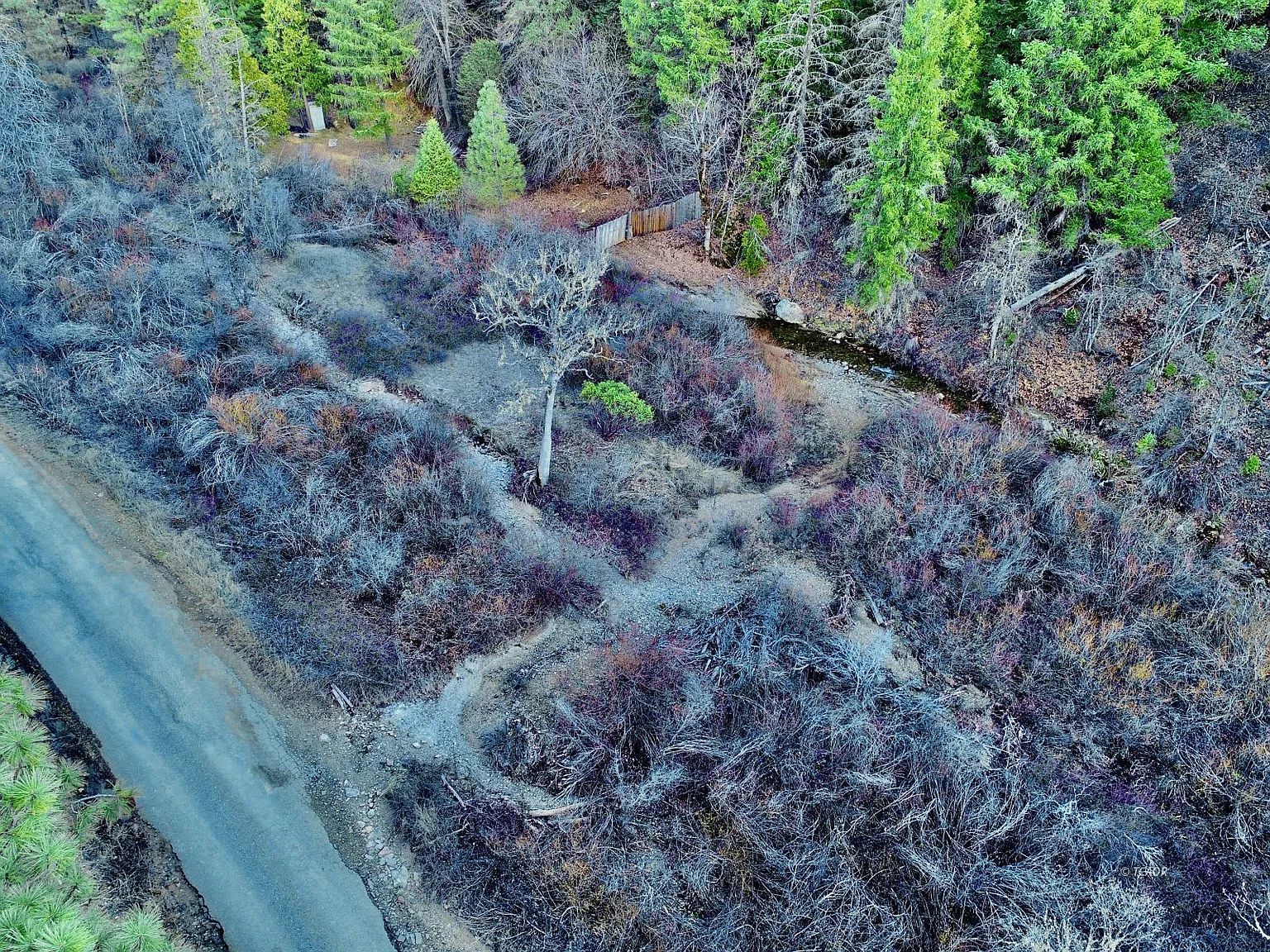 7081 Rattlesnake Rd photo 1