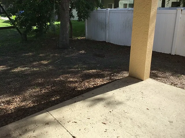 1338 Edison Tree Rd — Photo 20