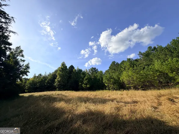 3 Cunningham Rd, Greensboro, GA 30642