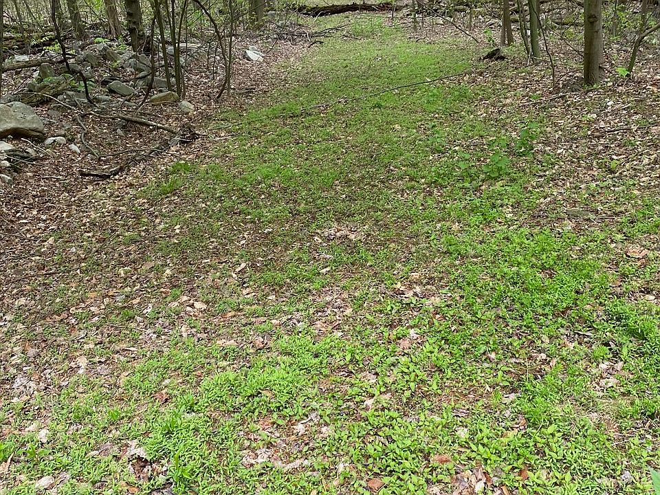 2nd image of Waggoners Gap Rd