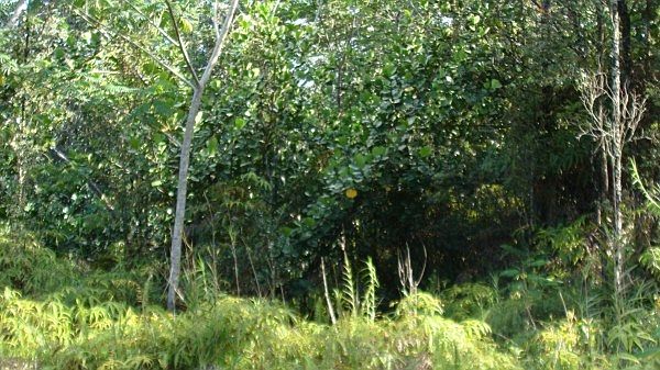 1st image of 26th Ave Lot 822