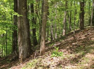 L-M26 Sleepy Hollow Rd, Ellijay, GA 30536