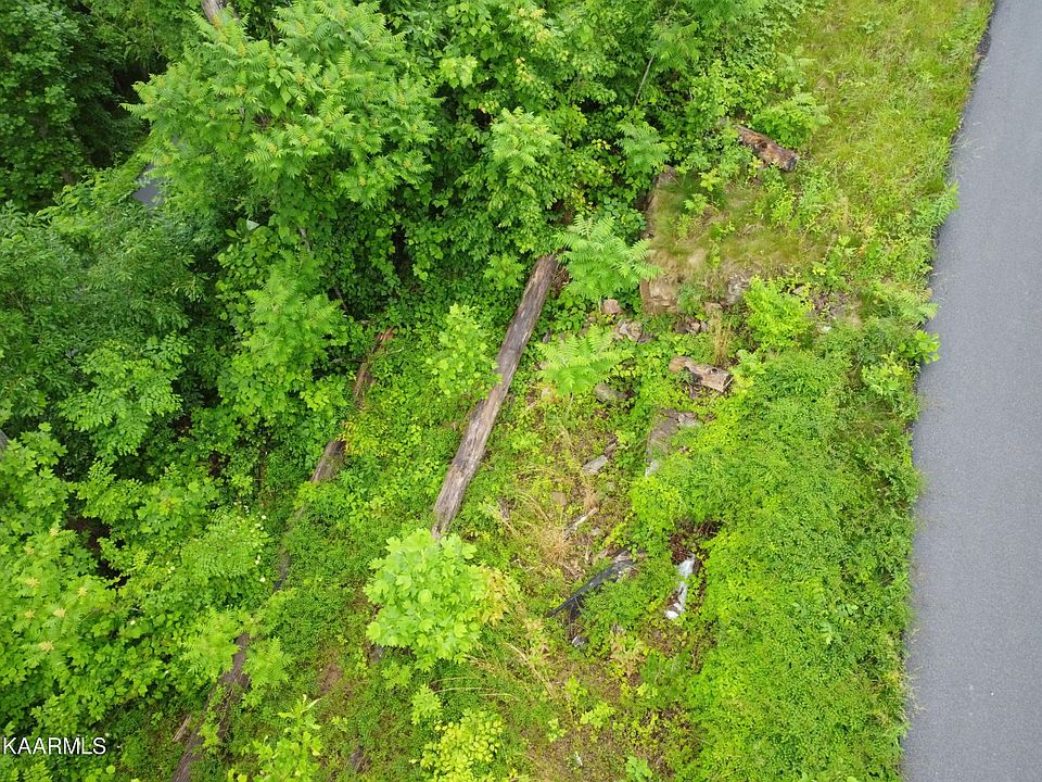 2nd image of 409 Loop Rd