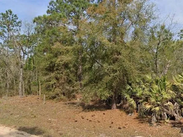 Union Avenue Lot #30, Interlachen, FL 32148