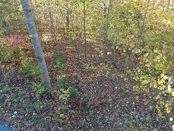 3rd image of 678 Lakeshore Dr