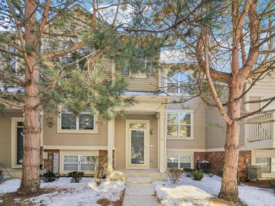 31647 Tallgrass Ct, McHenry, IL, 60051