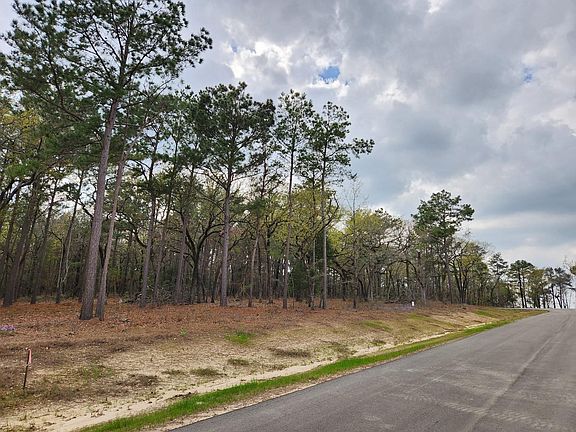 4th image of 3281 Shadow Pine Dr