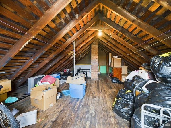 buffalo-new-york-60059042 picture