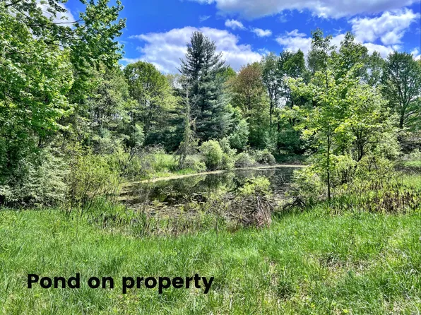 10701 Elizabeth Rd, Greenville, MI 48838