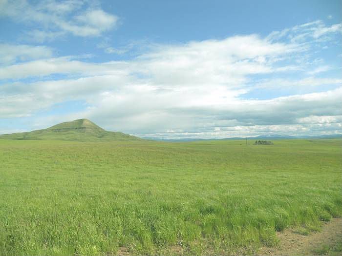 Belt Butte