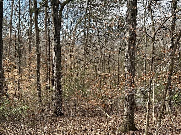2nd image of LOT 5 Lamont Ln