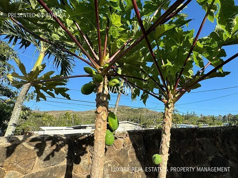 596 Iana St — Photo 21