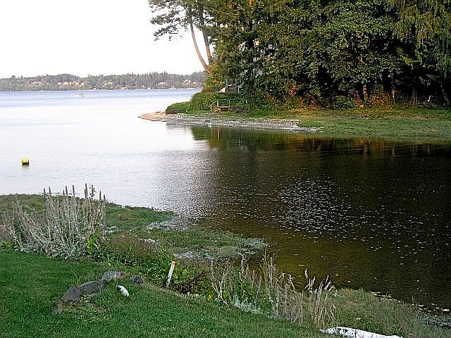 View from the beach