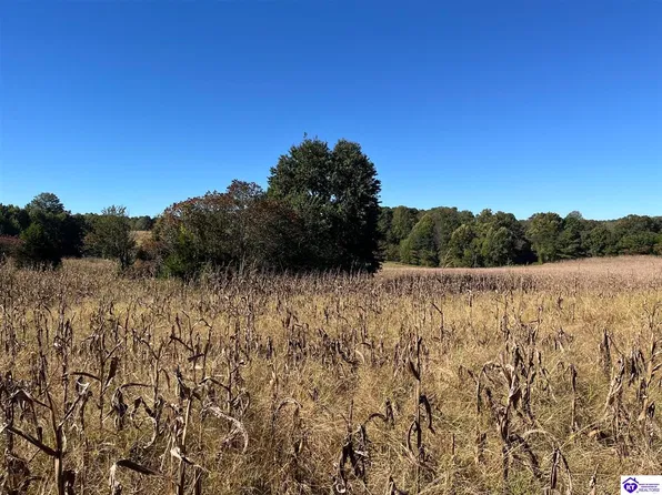Ac Locust Grove Rd, Bonnieville, KY 42713