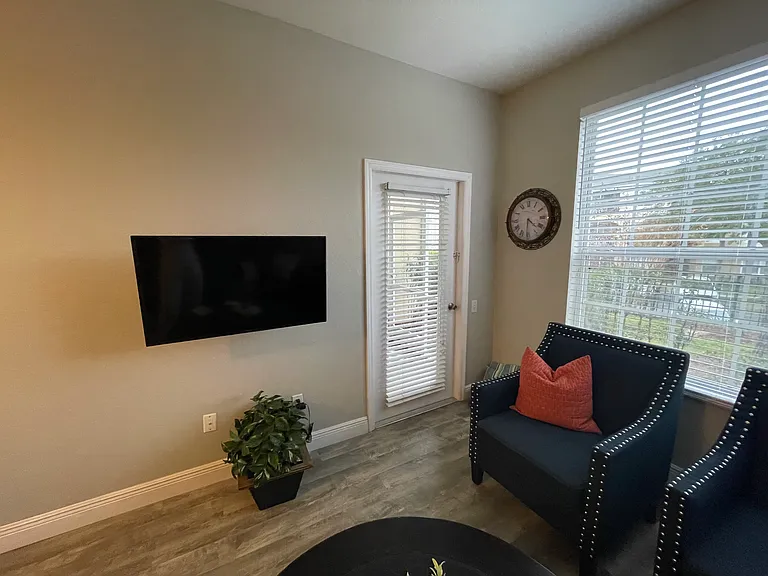 TV in living room. Door to access Lanai. No Carpet. New windows.