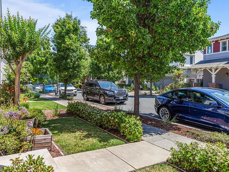 Front yard