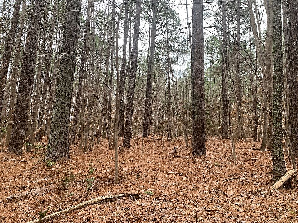 2nd image of 7400 Jadins Way