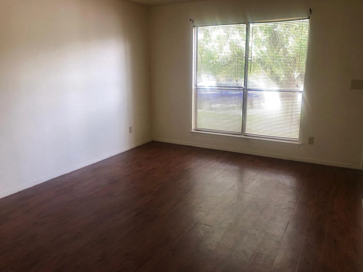 110 Hillside Cv — Photo 2