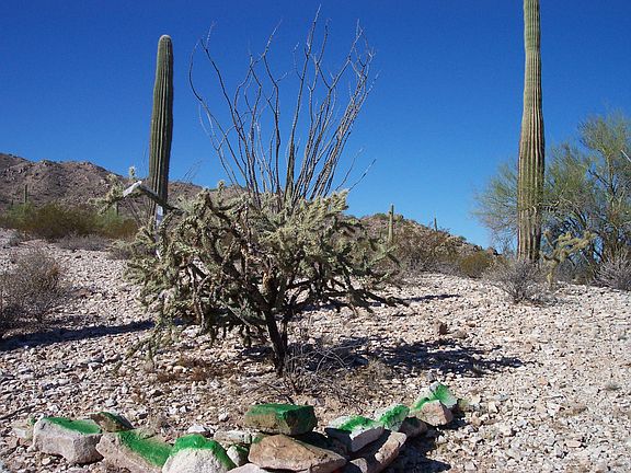 5th image of Ten Desert Acres Northwest Of Town