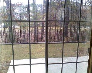 View of backyard