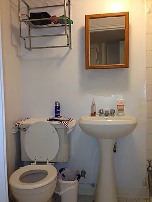 Rented by Pink Stone Realty LLC | media 20