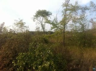 12345 Salo Rd, Hibbing, MN 55746