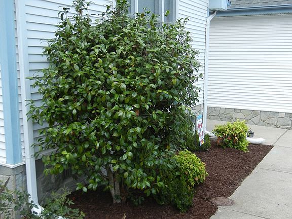 2nd image of 5110 Greenwich Mews