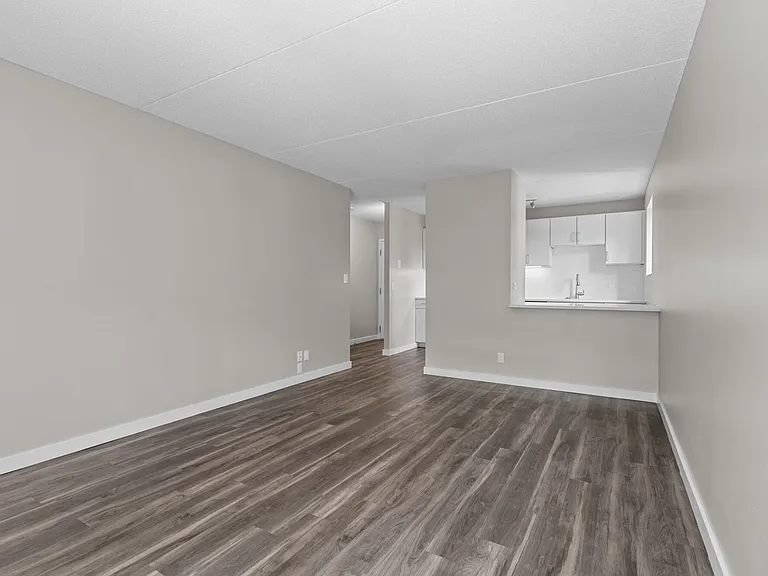 Living Room With Natural Lighting