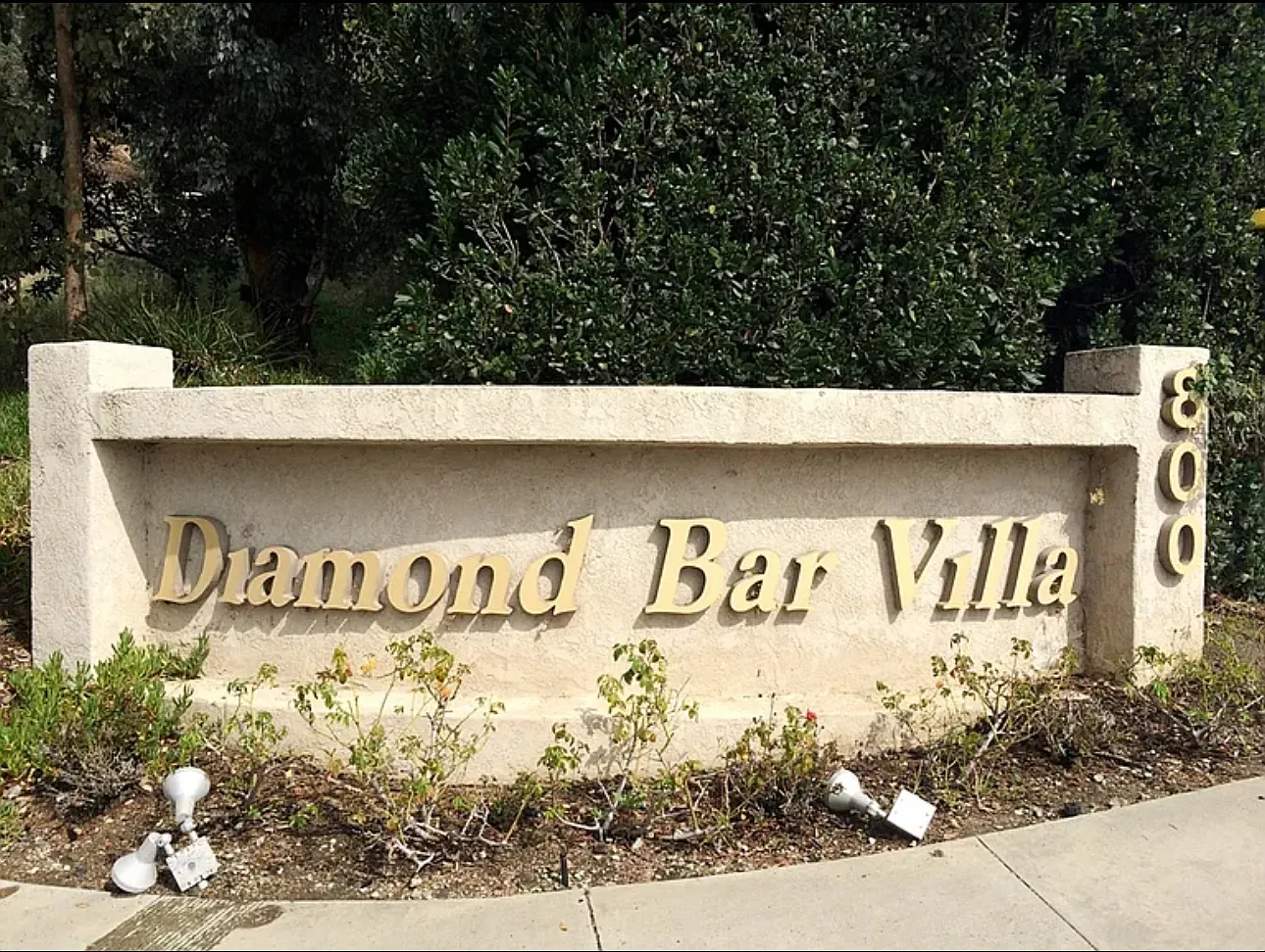 2 bed, 828 sqft, $2,800 — Photo 3