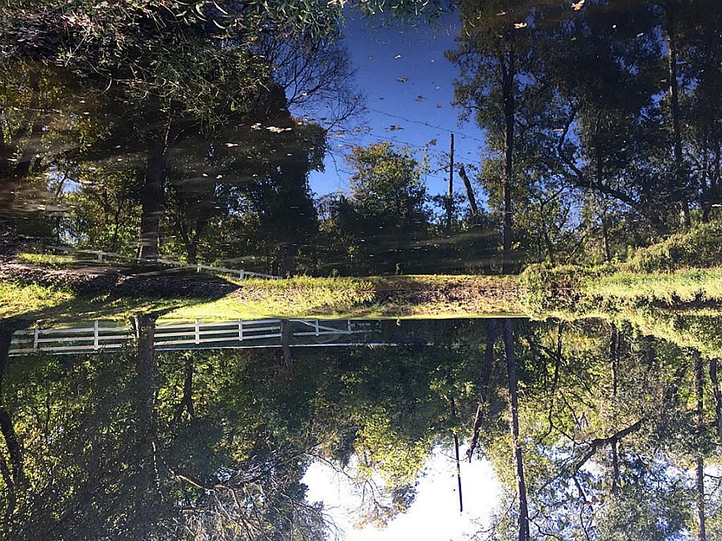 9942 Calvary Rd, Willis, TX 77318 Zillow