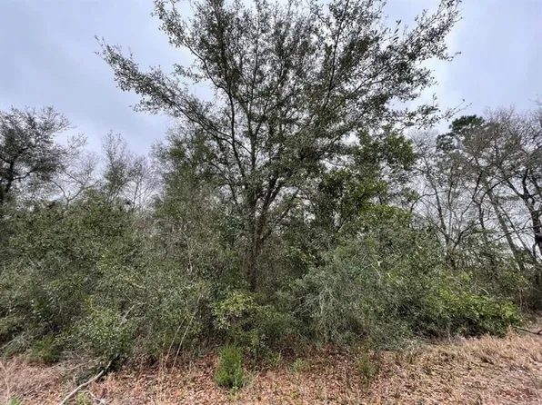 0 NE 128 AVENUE LOT 9, WILLISTON, FL 32696