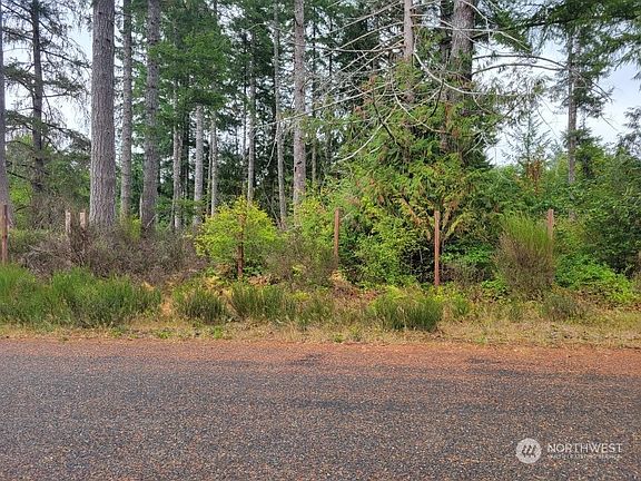 3rd image of 0 W Salmonberry Drive