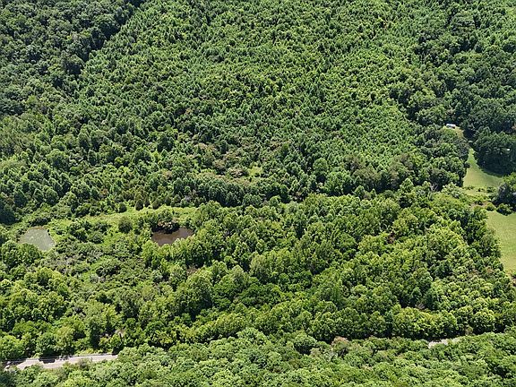 3rd image of 1432 Beech Creek Rd