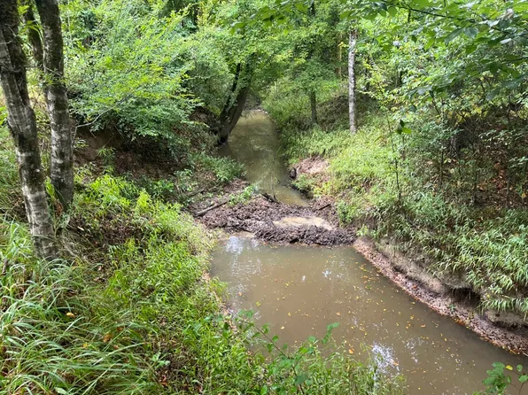 Highway 126 Lot Wp002, Jonesville, LA 71343