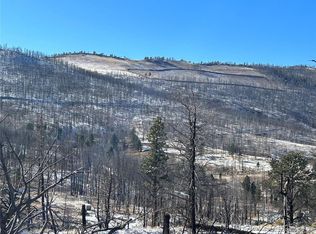 LOT 1039 Forbes Rd, Fort Garland, CO 81133