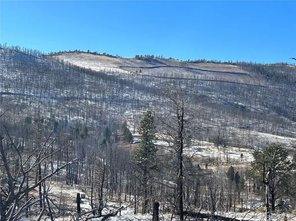 LOT 1039 Forbes Rd, Fort Garland, CO 81133